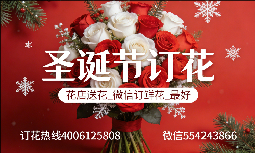 ˫Ѽɽ�붫������